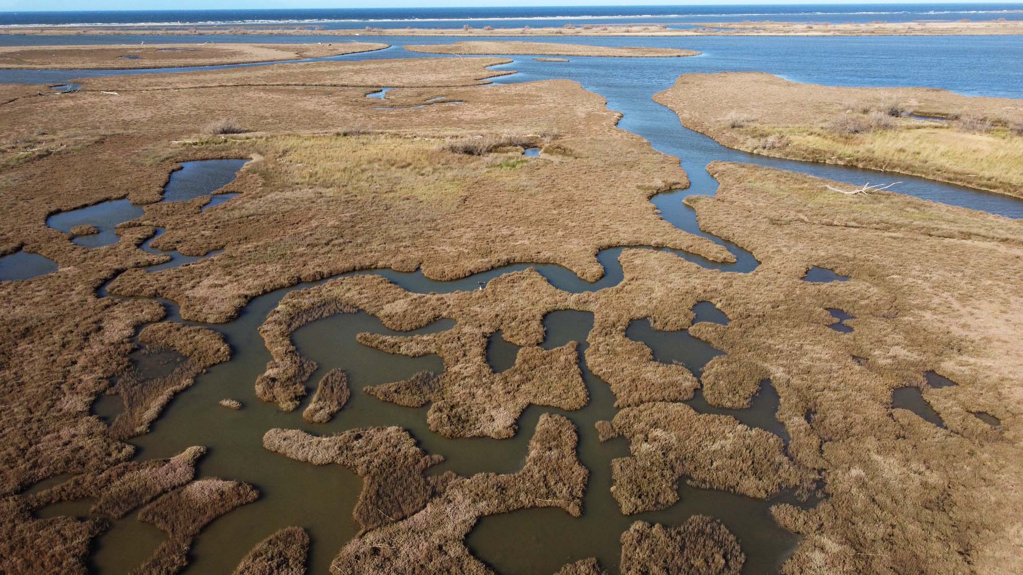 Δέλτα Έβρου