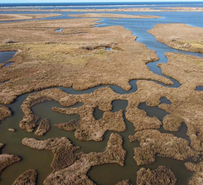 Δέλτα Έβρου