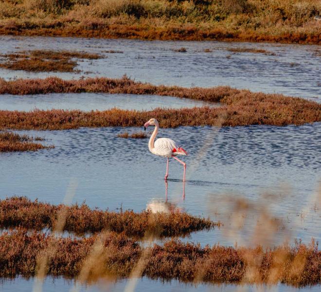 Evros Delta National Park 1