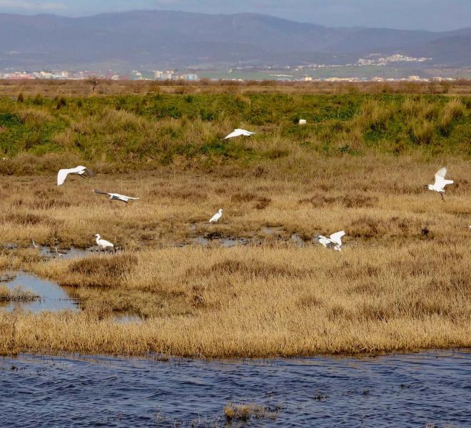 Evros Delta National Park 2
