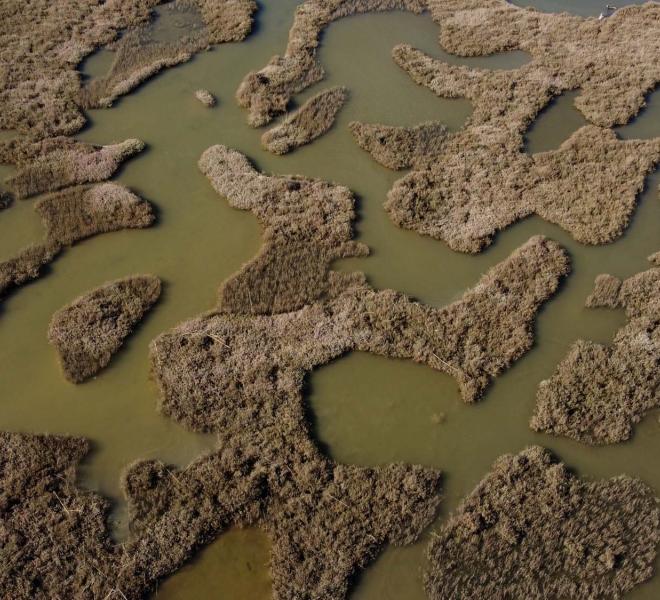 Evros Delta National Park 3