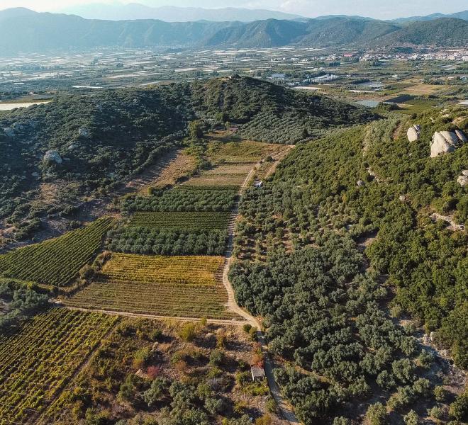 Ancient Aesyme - Anaktoropolis 2