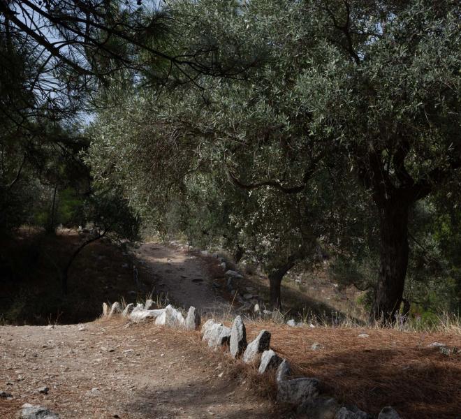 Alyki Ancient Marble Quarry 16