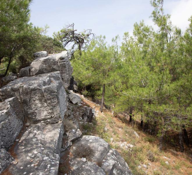 Alyki Ancient Marble Quarry 18