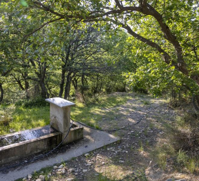 Nestos River: Canoeing, rafting, sup, ZipLine, archery, climbing, horseback riding 5