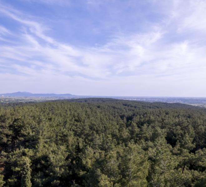 Nestos River: Canoeing, rafting, sup, ZipLine, archery, climbing, horseback riding 7