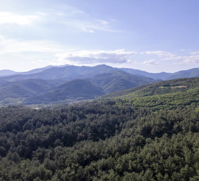 Nestos River: Canoeing, rafting, sup, ZipLine, archery, climbing, horseback riding 9