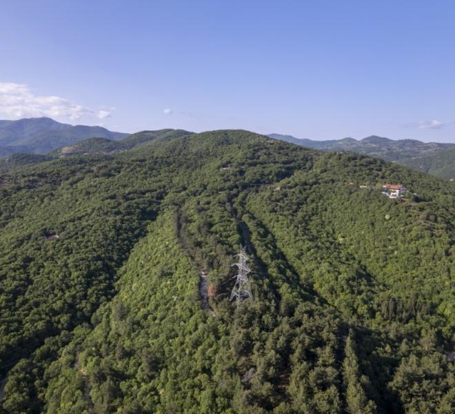 Nestos River: Canoeing, rafting, sup, ZipLine, archery, climbing, horseback riding 11