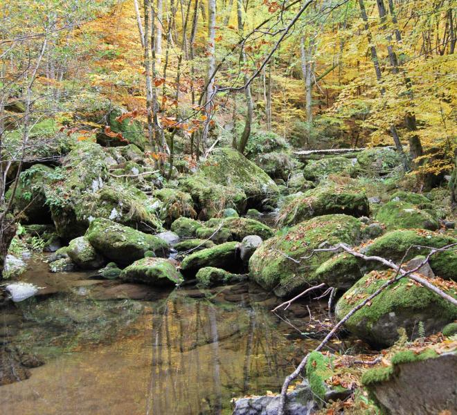 Livaditis Waterfall 1