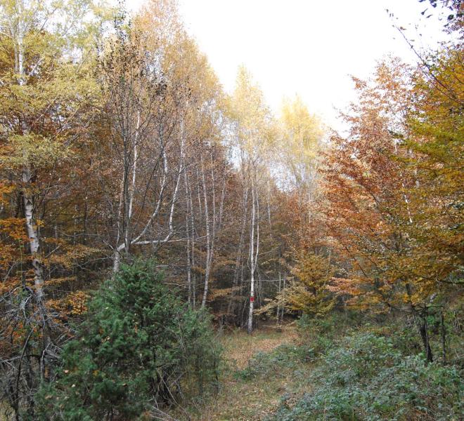 Livaditis Waterfall 3