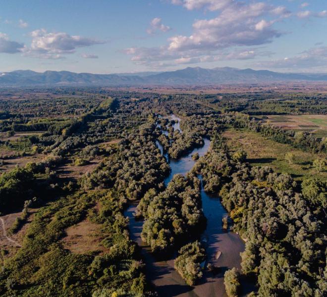 Riparian forest of Kotza Orman, Nestos Delta 2