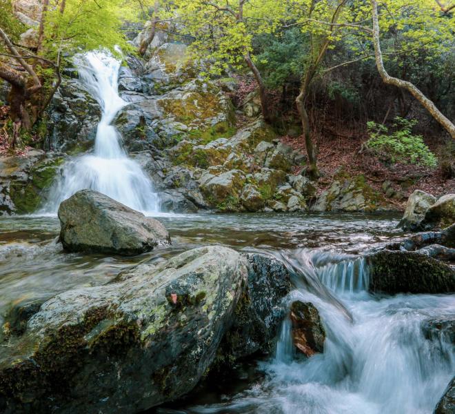 Vathres (Fonias, Gria Vathra) 1