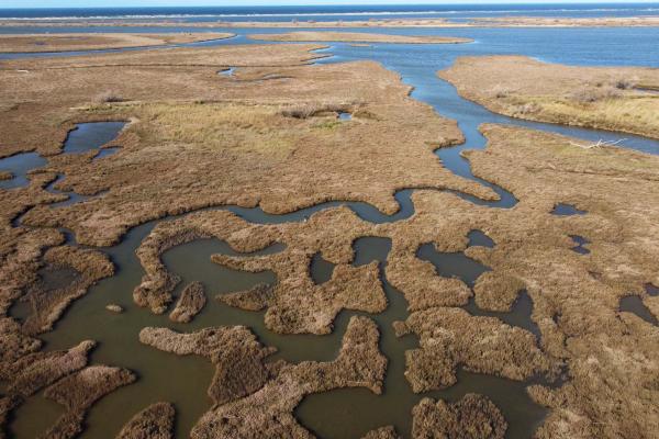 Evros Delta National Park