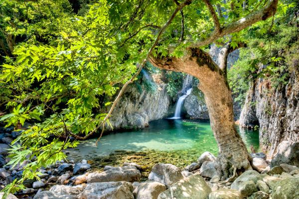 Vathres (Fonias, Gria Vathra)