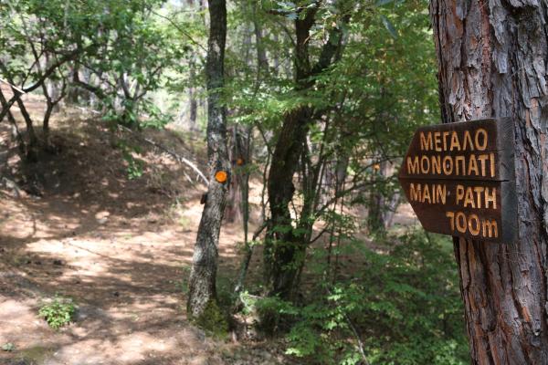 Petrified Forest of Lefkimi