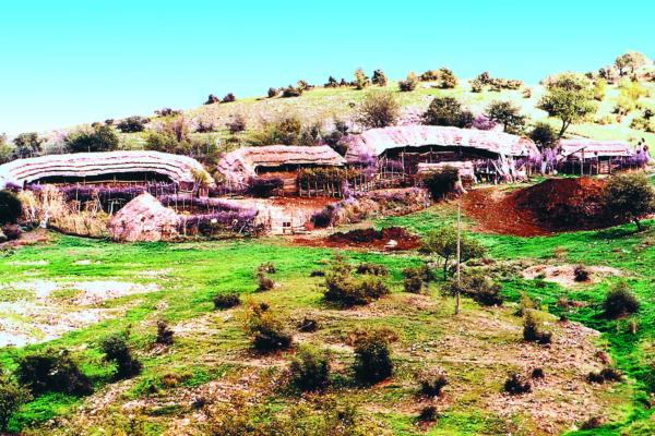 Traditional Village of Sarakatsana