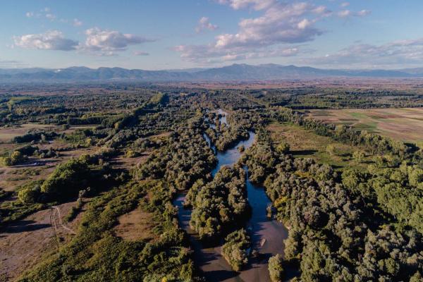 Riparian forest of Kotza Orman, Nestos Delta