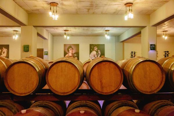 Large Wineries in the Municipalities of Prosotsani, Doxato, Drama, and Paranesti