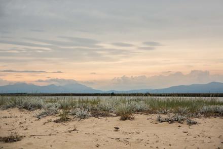 Ancient Stryme (Molyvoti site)