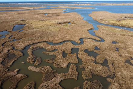 Evros Delta National Park