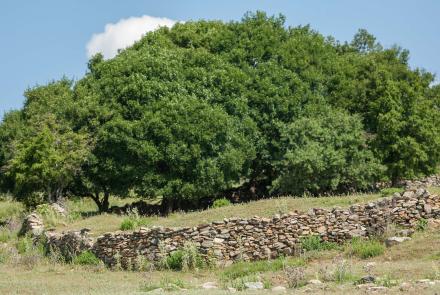 Monastic State of Mount Papikion 