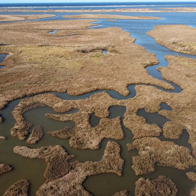 Evros Delta National Park