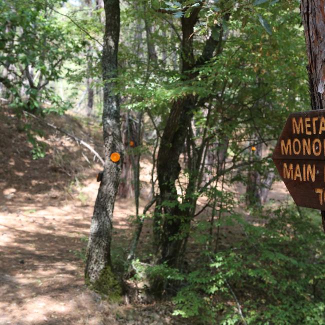 Petrified Forest of Lefkimi