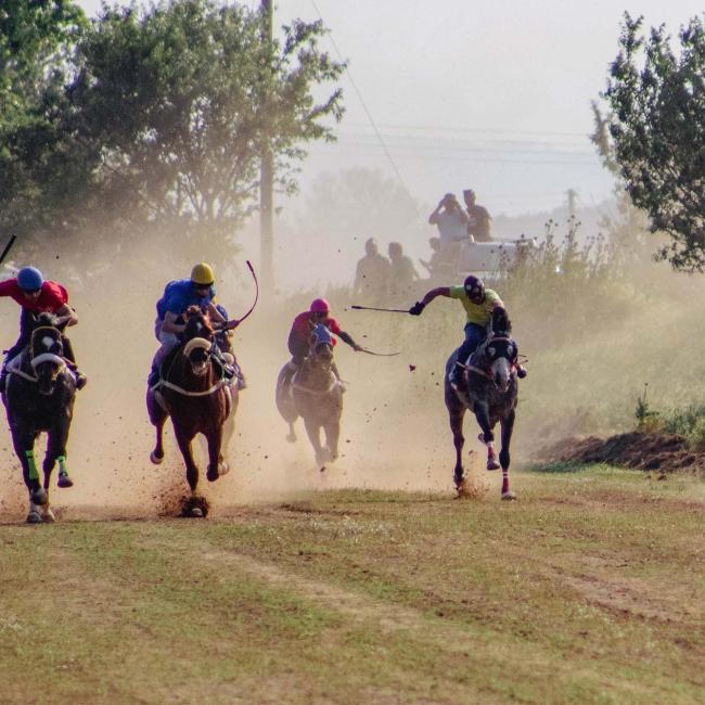 Doxato Horse Racing